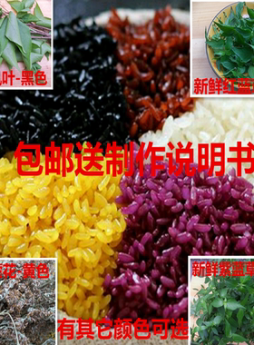 广西马山密蒙花红蓝草紫蓝草五色糯米饭枫叶植物染料有颜色可选