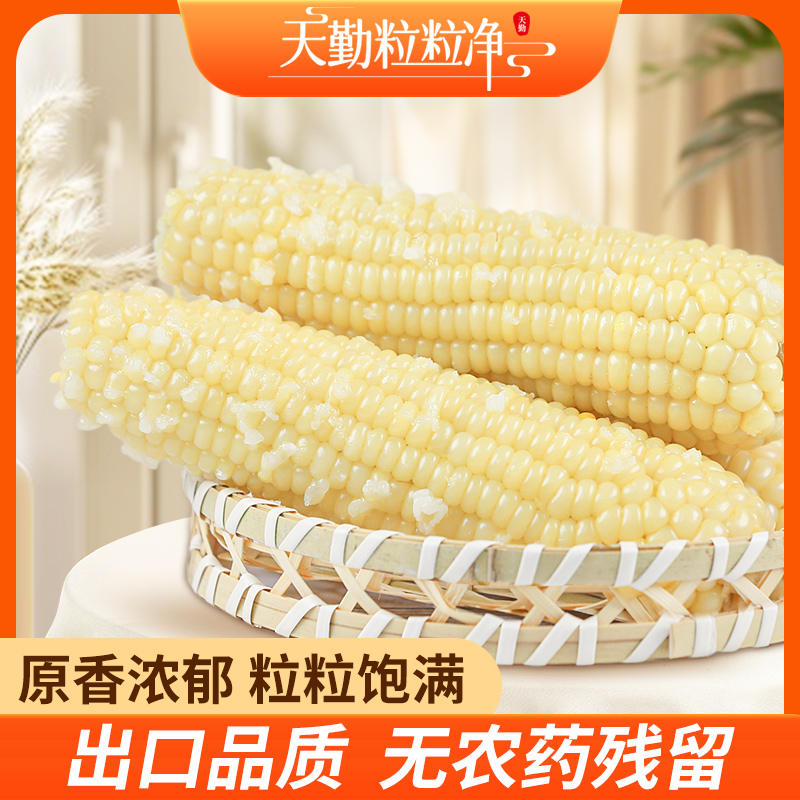 天勤粒粒净10根白糯玉米出口品质