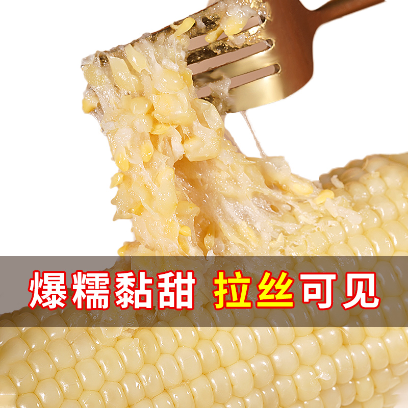 新鲜现摘10根白糯玉米出口品质
