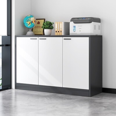 德国进口办公室文件柜储物柜资料柜档案柜打印机柜置物柜矮柜带锁