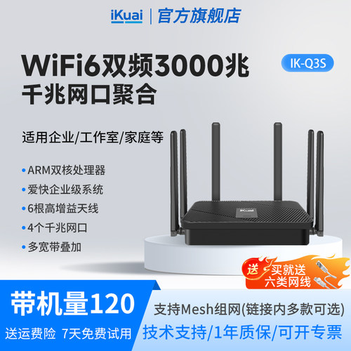 宽带叠加 端口分流 动态域名 IPv6 异地组网