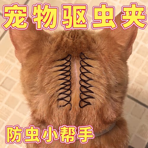 摩芽宠物体外辅助驱虫发夹防虫夹