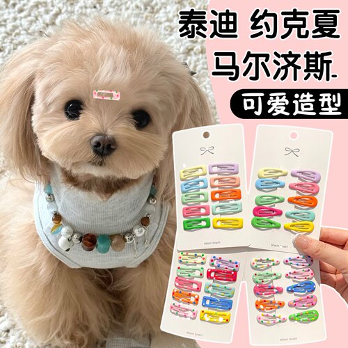 约克夏马尔济斯狗狗BB夹发卡