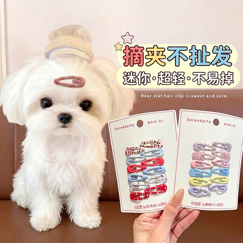 狗猫专用BB夹不夹毛碎发套装