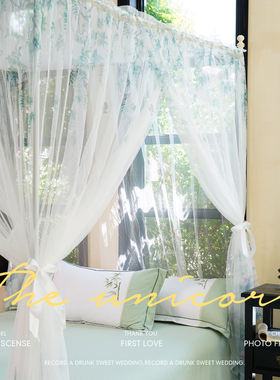 自然风新款数码印花三开门落地方顶加密蚊帐1.5m/1.8米床双人家用