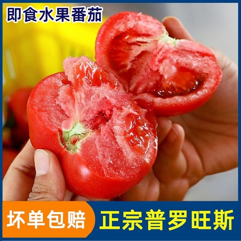 陕西泾阳新鲜普罗旺斯水果西红柿沙瓤自然熟正宗生吃番茄冰沙红