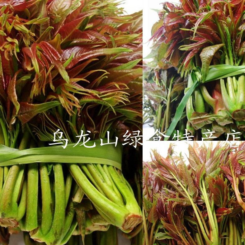阳春三月 湘西特产 现货现摘当其它