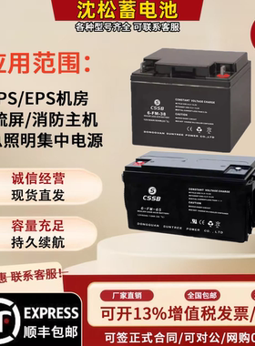 沈松CSSB蓄电池6-FM-12V7A9A12A17A20A24A38A55A65A100AH消防电梯