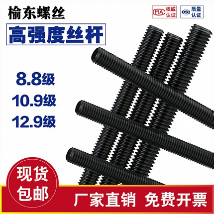 高强度丝杆通丝螺杆丝杠牙条 8.8级10.9级12.9级高强全螺纹通丝杆