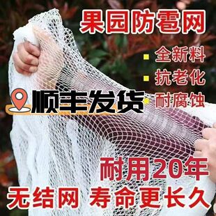 德国品质防冰雹防雹网果园防冰雹网神器果树防鸟网防护网经久耐用