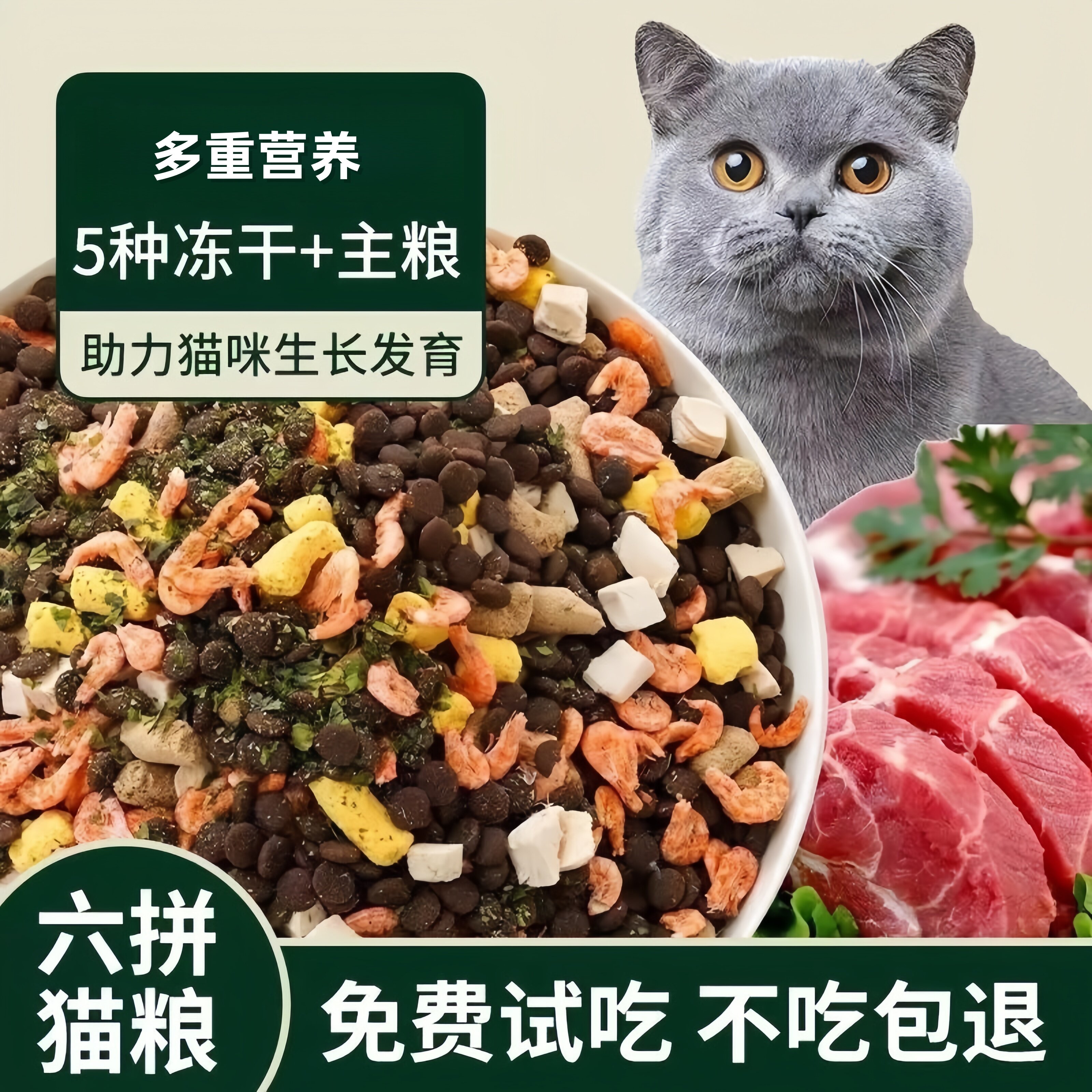 全价猫粮5斤装鱼肉牛肉味幼猫成猫哺乳全期猫粮高营养猫通用十斤.