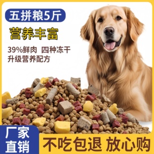 狗粮40斤装成犬幼犬通用型泰迪金毛土狗小型犬大型犬20kg柴犬犬粮