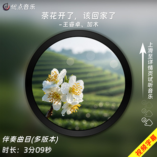 茶花开了该回家了(说唱版)-王睿卓,加木 原版伴奏音乐MP3素材视频