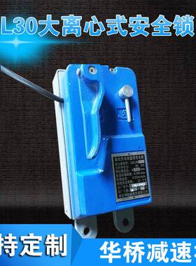 电动吊篮安全锁@高处作业吊篮用安全锁@LSL30安全锁防坠落锁
