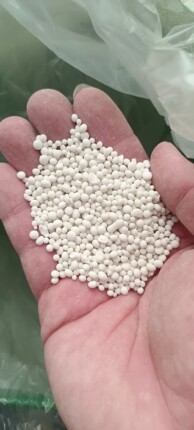 国光复合肥花棚亲测茉莉花好用