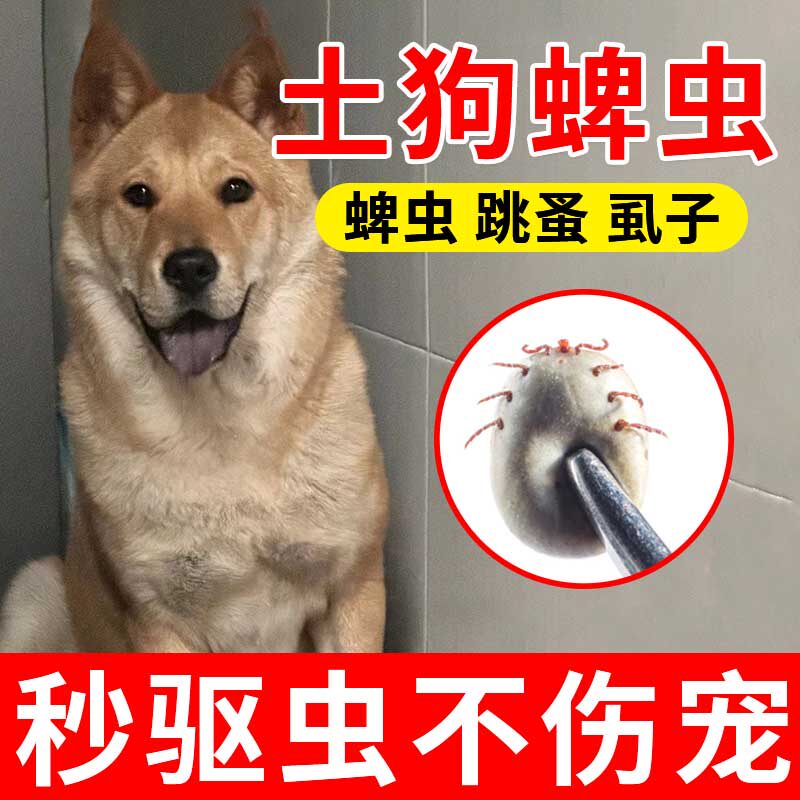 土狗蜱虫跳蚤药中华田园犬虱子去除跳瘙猫咪体外驱虫喷雾宠物xf