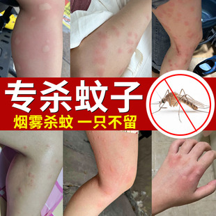 黄雀灭蚊片室内强力烟雾杀蚊烟片神器非电蚊香片驱杀文子一扫光xf