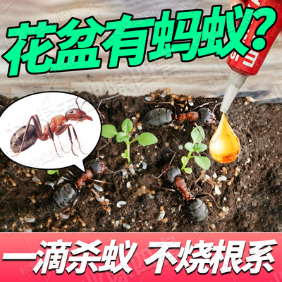 花盆蚂蚁药绿植土壤杀虫药土里有蚂蚁果园草地红火蚁家用全窝端xf