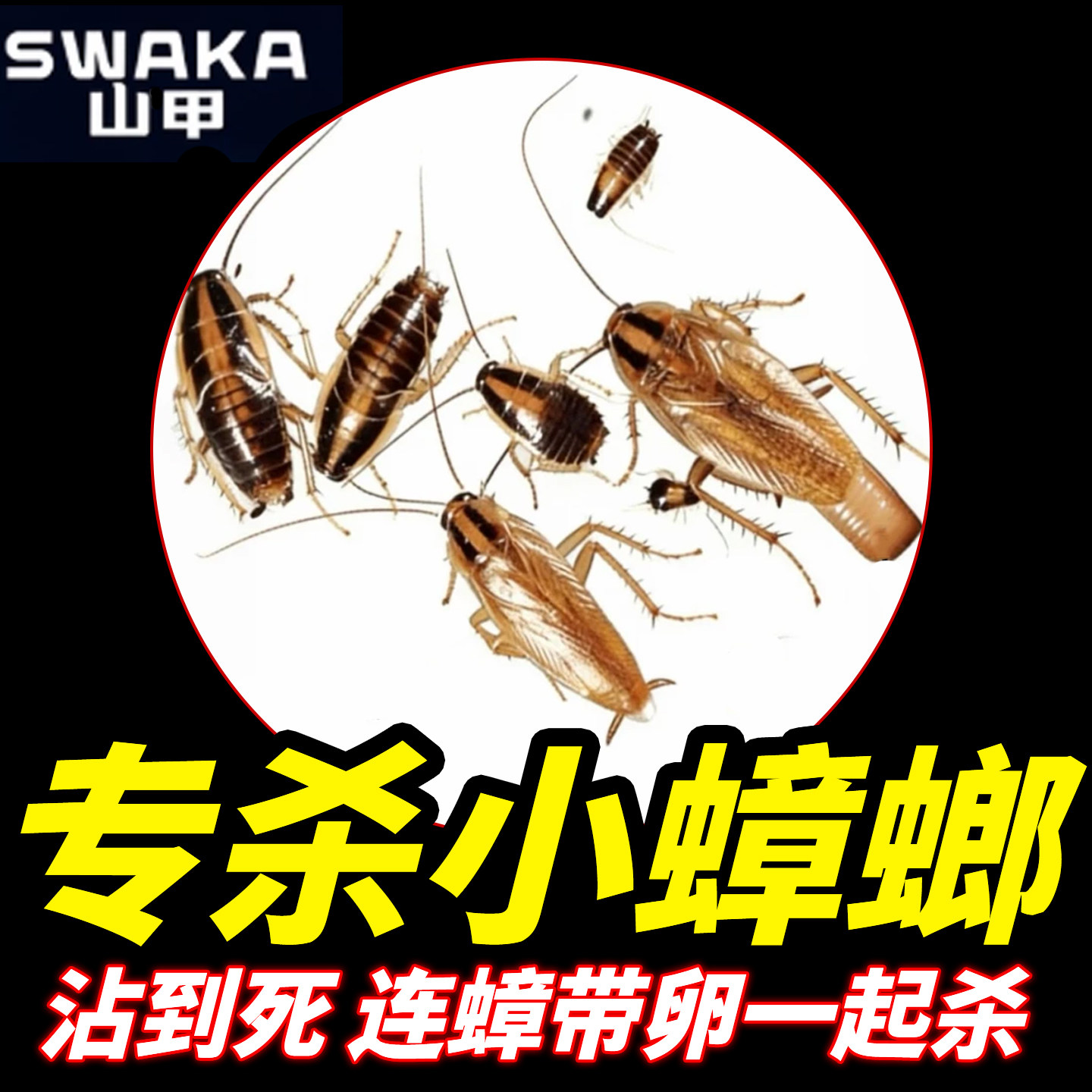 德国小蠊蟑螂药第强效一名虫卵双杀蜚蠊专杀章狼药窝端山甲牌xf