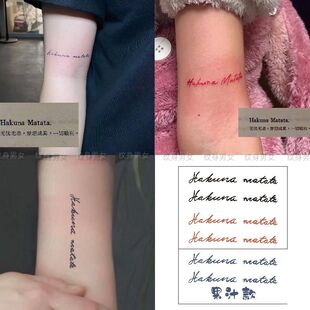hakunamatata纹身贴 梦想成真 英文草本纹身贴ins高级感甜酷