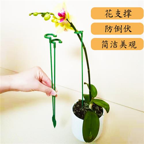 蝴蝶兰多肉花架支架植物盆栽花卉造型支撑杆固定防倒伏护叶架专用