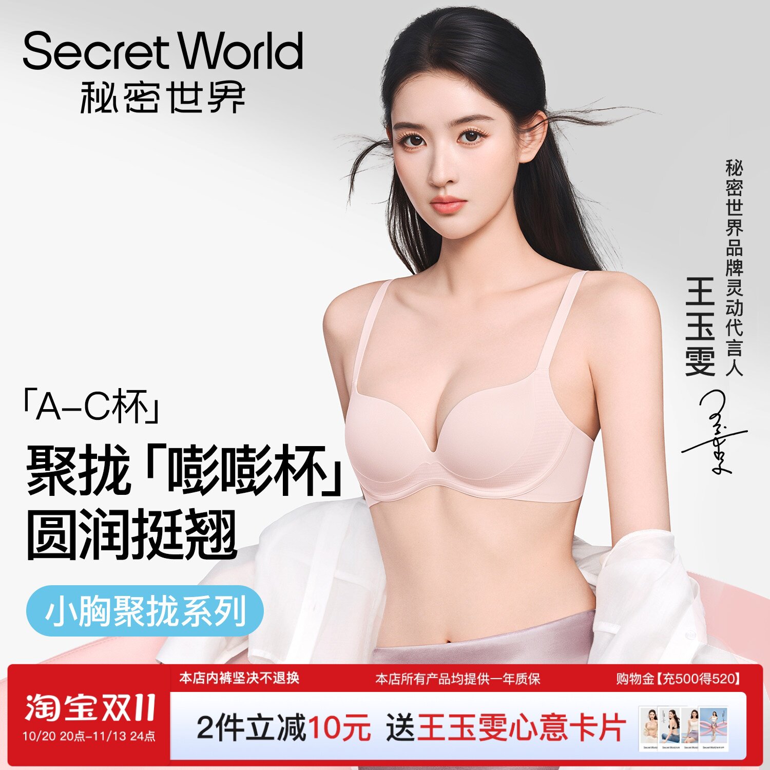 Secret World嘭嘭杯内衣女小胸聚拢收副乳防下垂上托显大无痕文胸