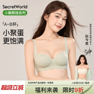 secretworld内衣女小胸聚拢显大收副乳软支撑无钢圈无痕舒适文胸