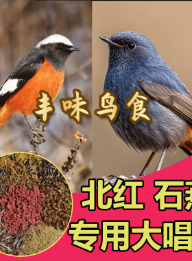 石燕鸟食北红尾鸲专用饲料鹟科红火燕嗜虫鸟保色提性壮膘营养鸟粮