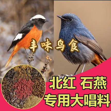 石燕鸟食北红尾鸲专用饲料鹟科红火燕嗜虫鸟保色提性壮膘营养鸟粮