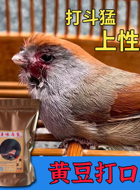 猛吃猛打斗~黄豆鸟专用打口料