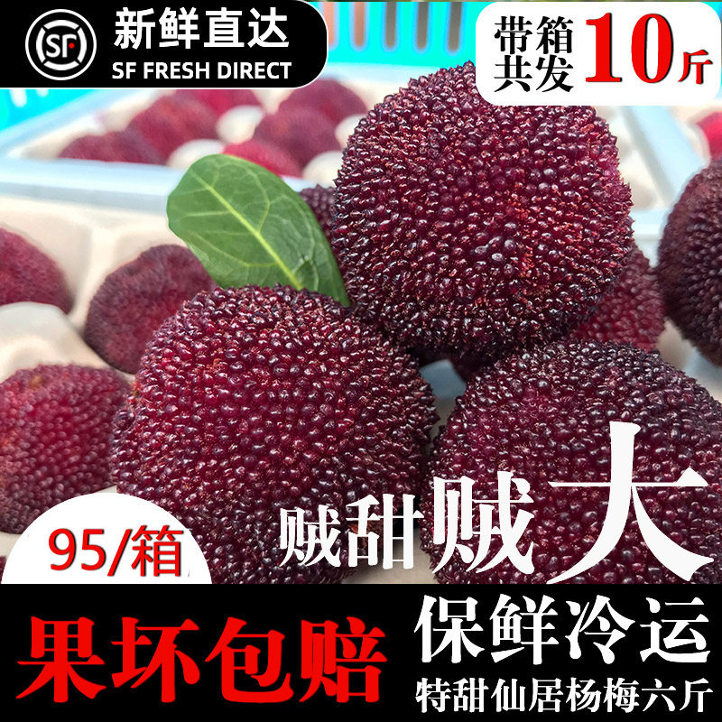 正宗仙居杨梅新鲜特级东魁大杨梅6斤当季孕妇水果整箱10现摘现发|msdalam kategori daging perikanan/Buah-buahan segar dan sayur-sayuran/dimasak, buah-buahan segar, 杨梅 - dari Buy2taobao.com untuk memberikan perkhidmatan ejen Taobao profesional membeli
