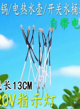 电饭锅电水壶电热开水桶电器灯电源氖灯指示灯泡直接接220V带电阻