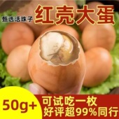 红壳大个头五香香辣味活珠子熟制无毛蛋钢化蛋喜蛋烧烤蛋厂家批发