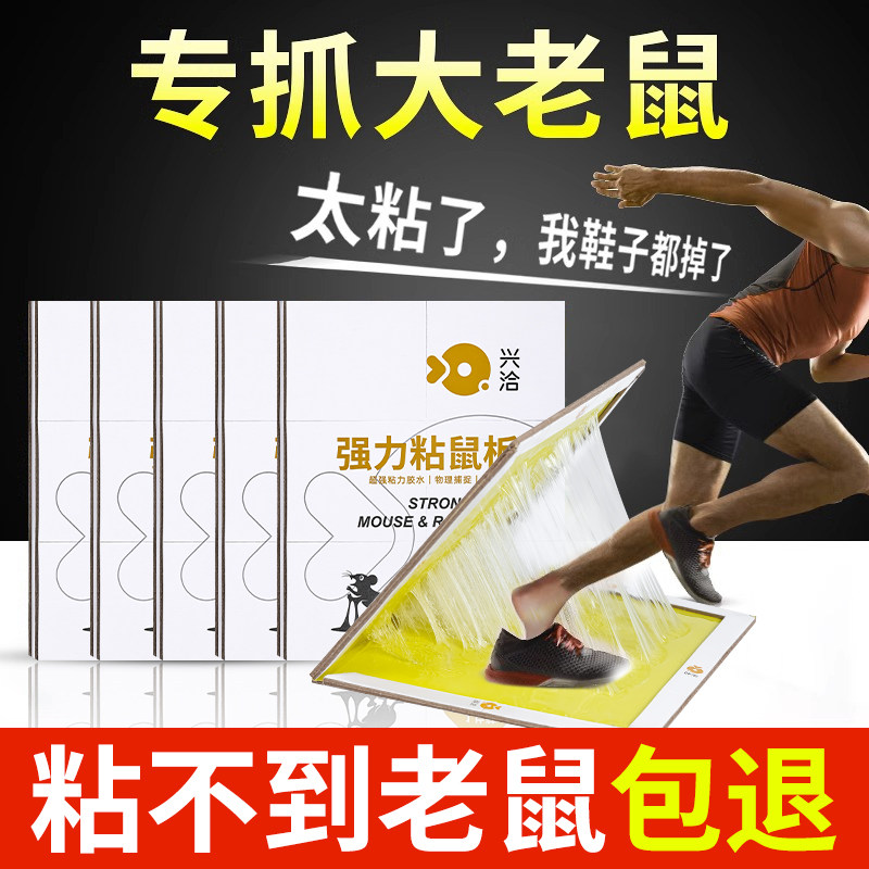 RATS ARE STICKY STICKY HOME KITCHEN GENUINE RAT CATCHER NON-DRUG CLAMP TRAP