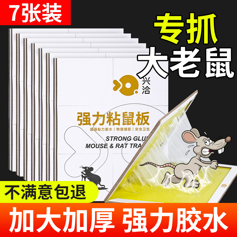 RATS ARE STICKY STICKY HOME KITCHEN GENUINE RAT CATCHER NON-DRUG CLAMP TRAP