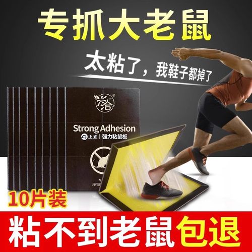 【支持试用！】老鼠贴强力粘鼠板