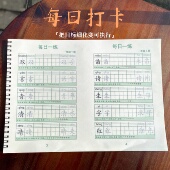 2025新版 小学生专用一年级上下册练字贴每日打卡每日一练硬笔