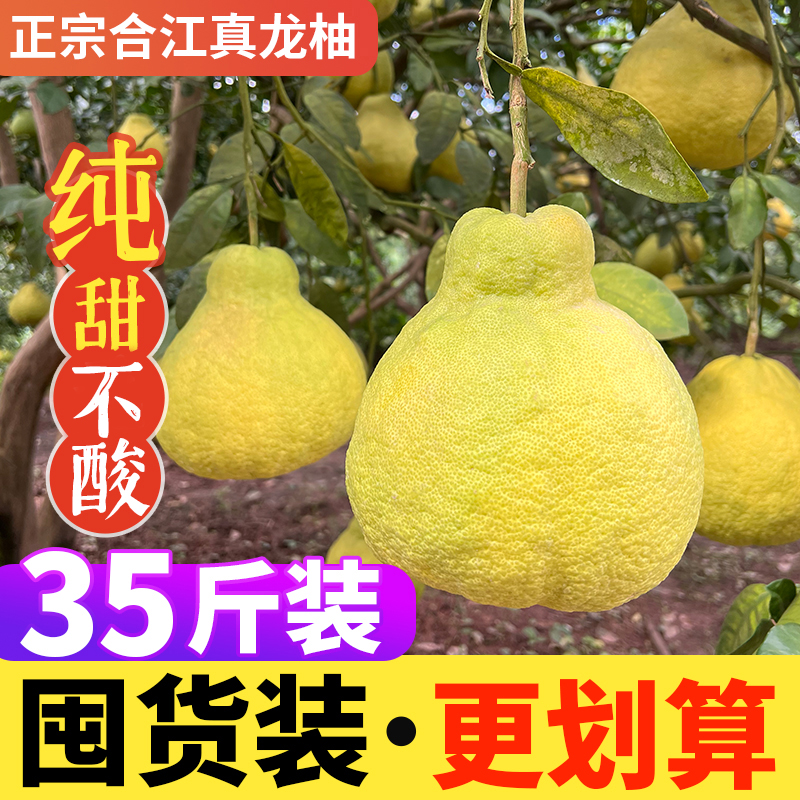 四川泸州合江真龙柚子当季整箱新鲜水果现摘白心柚纯甜蜜非沙田柚