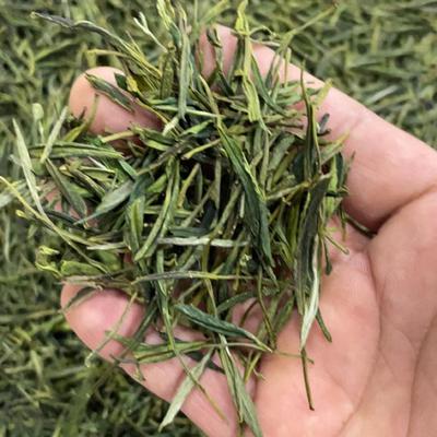 龙云茶庄 2025黄山毛峰 谷雨前新茶 一斤装