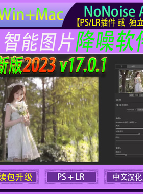 智能照片图片降噪中文软件ON1 NoNoise AI 2023 ps/lr插件WIN/MAC