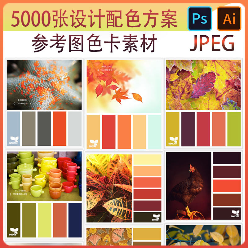 5000张-设计配色方案参考图 AI/PS设计色卡素材用色CMYK吸色配色