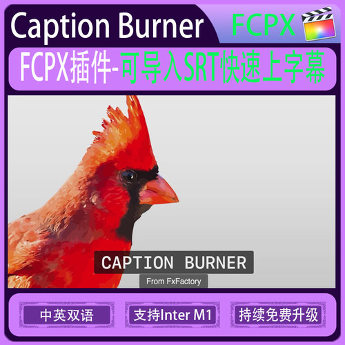 FCPX插件-Caption Burner 快速上字幕 中英语版字幕导入SRT支持M1