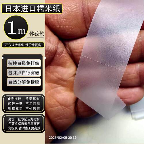 日本进口糯米纸嫁接专用膜