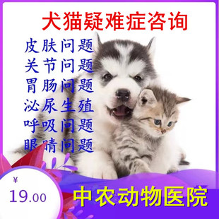 宠物医院医生兽医在线咨询犬猫狗皮肤胃肠问题关节肺心肝问题肾衰