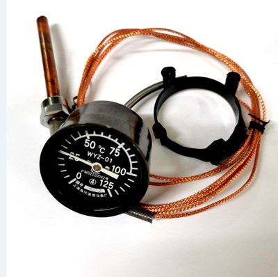 遥测温度计WYZ-01压力表