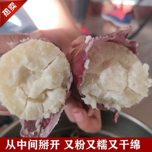 襄汾老济南红薯白心板栗地瓜番薯山西临汾净重特产包邮