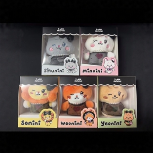 现货 新款GIDLE快闪女团MINI盒装公仔宋雨琦叶舒华公仔带盒包装