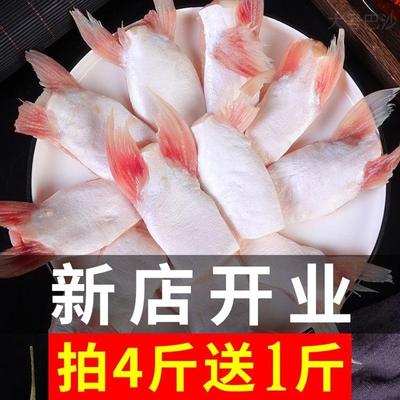 巴沙鱼翅鱼肥油鱼腩鱼刺5斤包邮