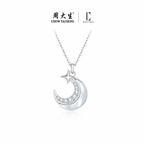 设界925银女高级感项链