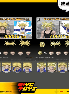 【TYCTOYS】现货 HM AIR特兰克斯超赛辫子人偶头雕配件包AIR016